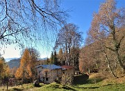 Monte Zucco (1232 m) ad anello in solitaria sui sentieri di casa (Zogno-300 m) 18nov闂????20 - FOTOGALLERY